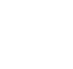 Professional Editing Services