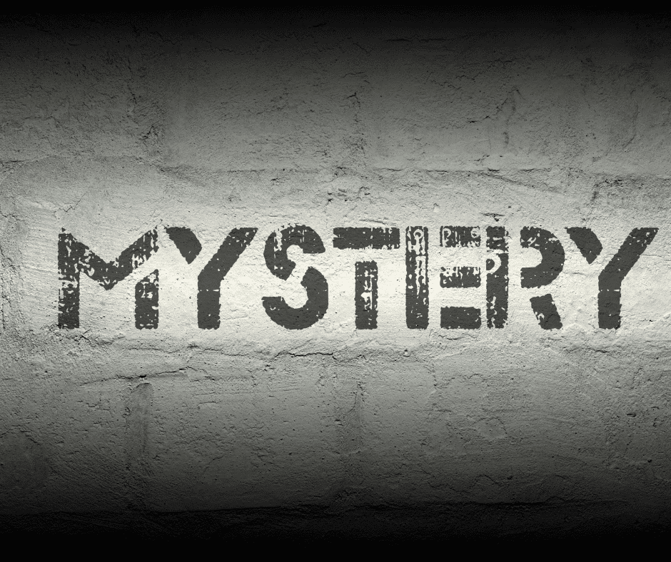 mystery novel
